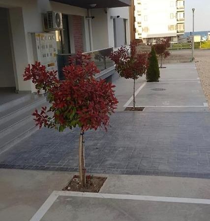 Mamaia Nord Apartament 18 Năvodari Екстериор снимка